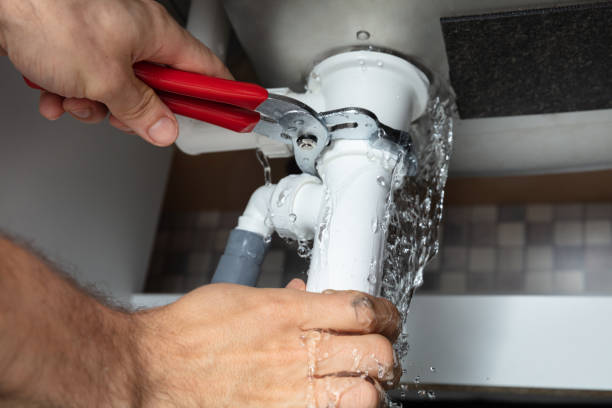 Best Water damage restoration near me  in Carrollwood, FL