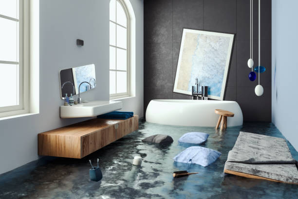 Best Water damage restoration near me  in Carrollwood, FL
