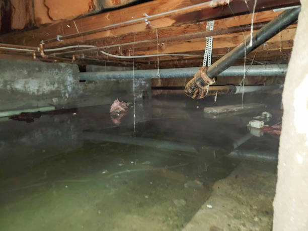 Water damage restoration process in Carrollwood, FL