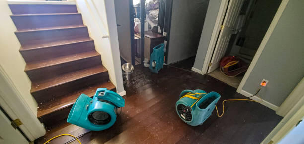 Best Ceiling water damage repair  in Carrollwood, FL