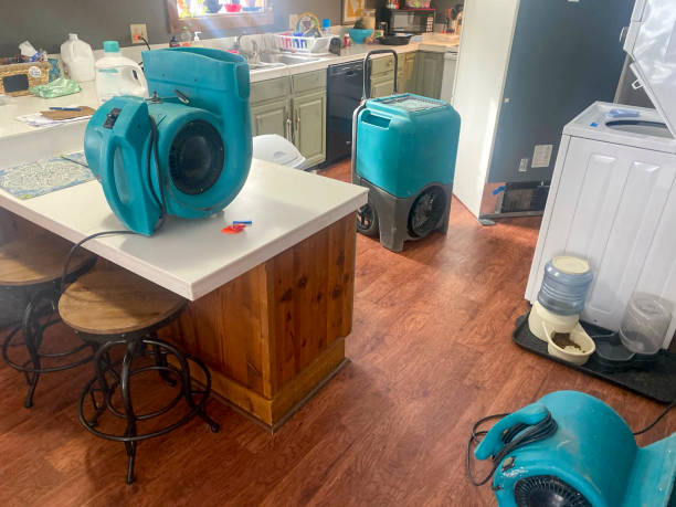 Best Fire Damage Restoration  in Carrollwood, FL