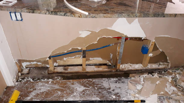  Carrollwood, FL Water damage restoration Pros