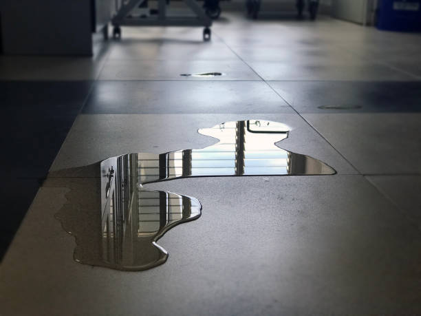 Best Commercial water damage restoration  in Carrollwood, FL