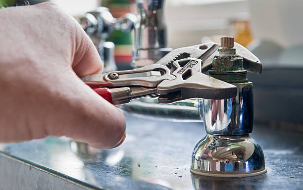 Best Flooded house restoration  in Carrollwood, FL