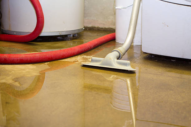 Best Commercial water damage restoration  in Carrollwood, FL