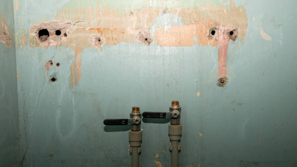 Best Water damage restoration near me  in Carrollwood, FL