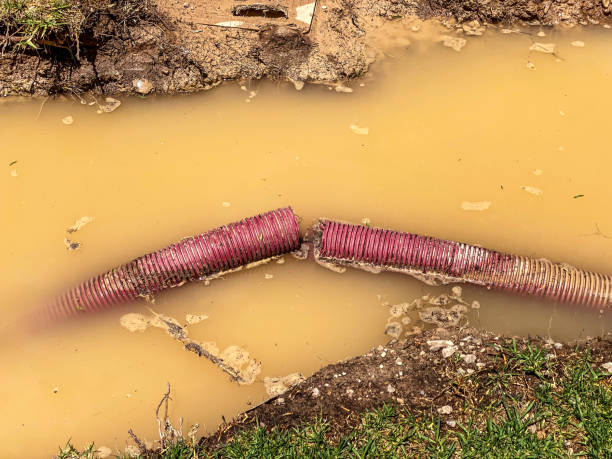 Trusted Carrollwood, FL Water damage restoration Experts